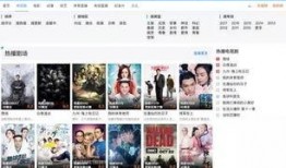 维也纳当地华人爆料视频,揭秘当地生活点滴